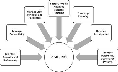 Polycentricity and Regional Ocean Governance: Implications for the Emerging UN Agreement on Marine Biodiversity Beyond National Jurisdiction